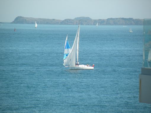  joli voilier